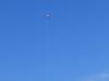 man and kite